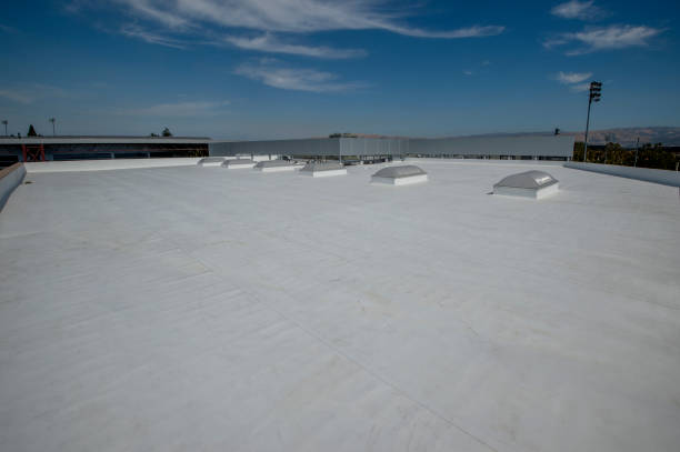Best Cold Roofs  in Sugar Land, TX